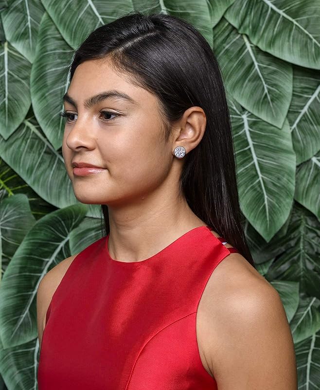 Summerfield Collection Stainless Steel Frost Blue Gray AB Glitter Faux Druzy Stone Stud Earrings (12mm)