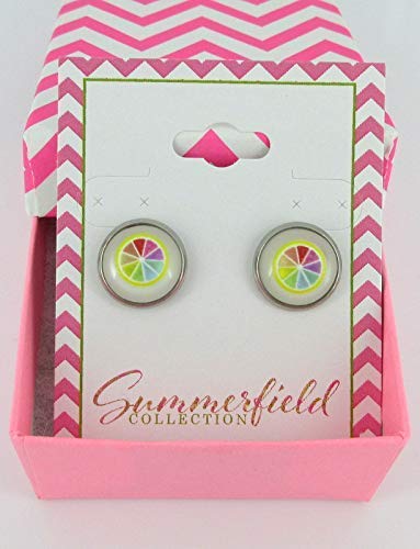 Stainless Steel Fruit Print Frosted Resin Stud Earrings 12mm