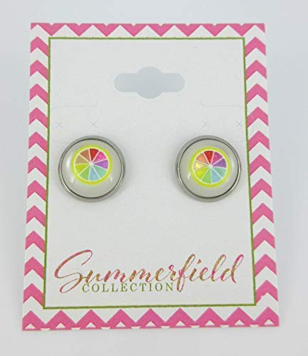 Stainless Steel Fruit Print Frosted Resin Stud Earrings 12mm