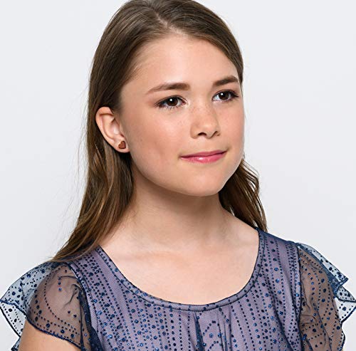 Stainless Steel Brushed Copper-tone Acrylic Heart Stud Earrings 8mm