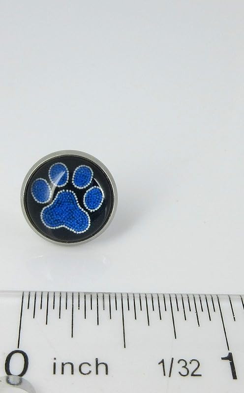 Summerfield Collection Stainless Steel Paw Print Glass Stud Earrings 12mm (Royal Blue)