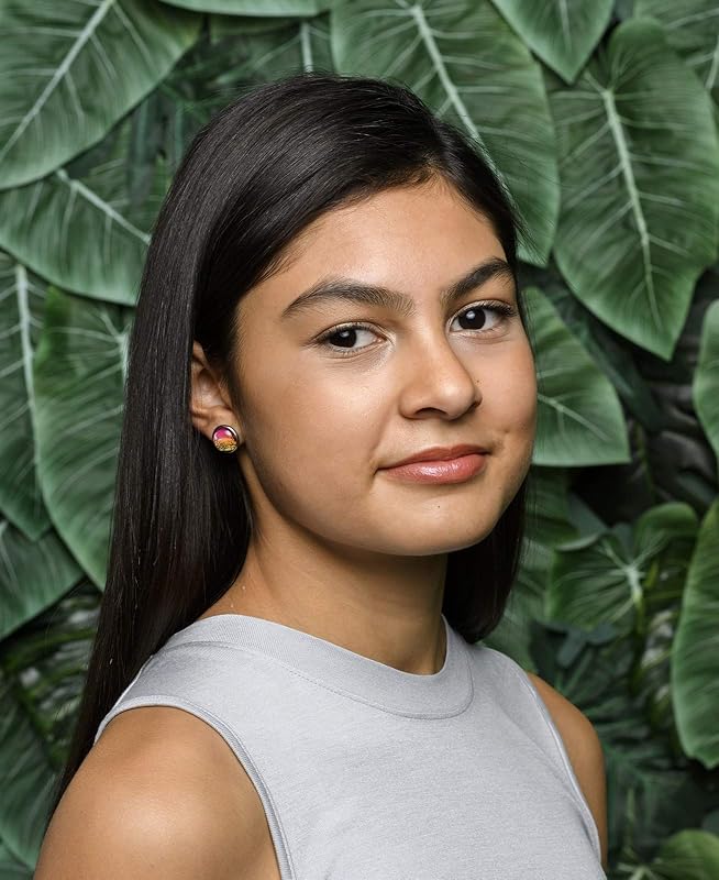 Summerfield Collection Stainless Steel Winter Sunset Print Glass Stud Earrings 12mm