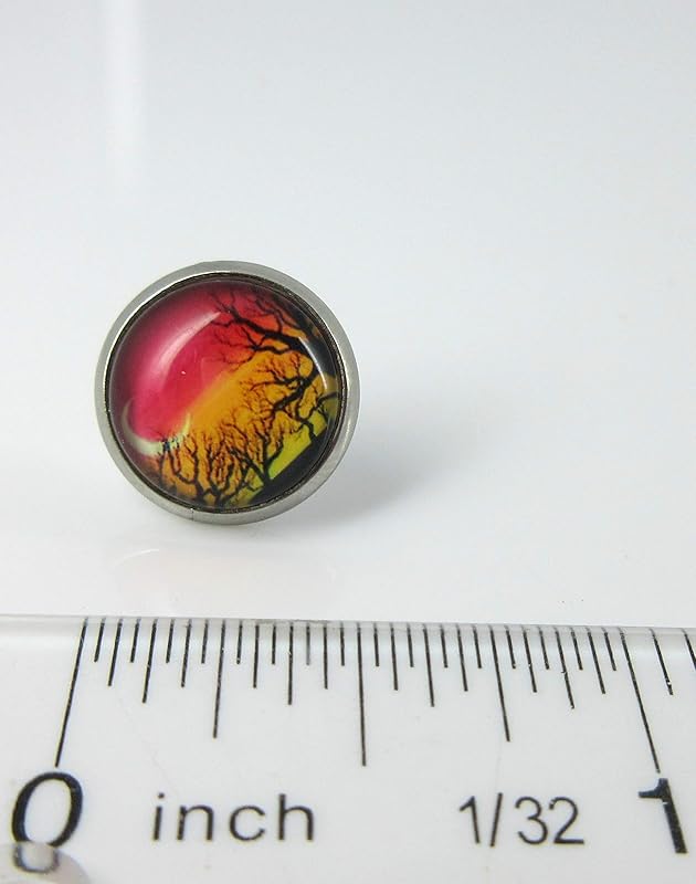 Summerfield Collection Stainless Steel Winter Sunset Print Glass Stud Earrings 12mm