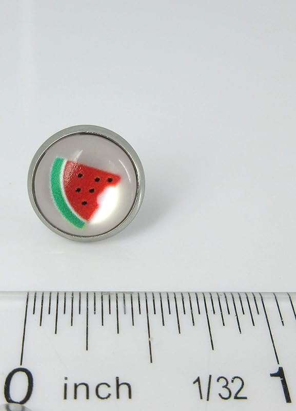 Summerfield Collection Stainless Steel Fruit Print Frosted Resin Stud Earrings 12mm (Watermelon)