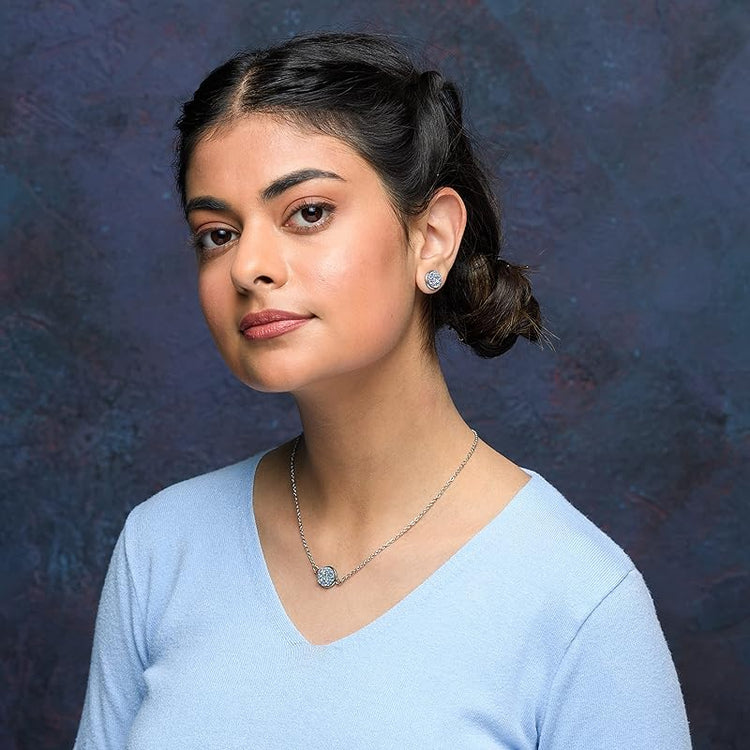 Summerfield Collection Stainless Steel Frost Blue Gray AB Glitter Faux Druzy Stone Stud Earrings (10mm)