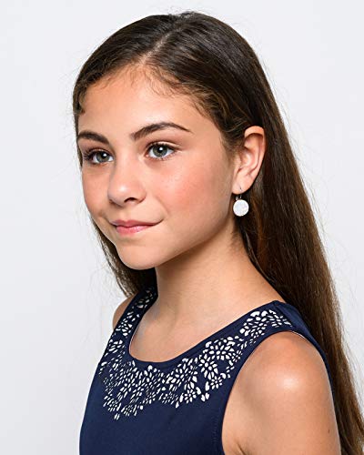 Stainless Steel White AB Faux Druzy Stone Lever-back Drop Earrings 14mm