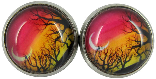 Stainless Steel Winter Sunset Print Glass Stud Earrings 12mm